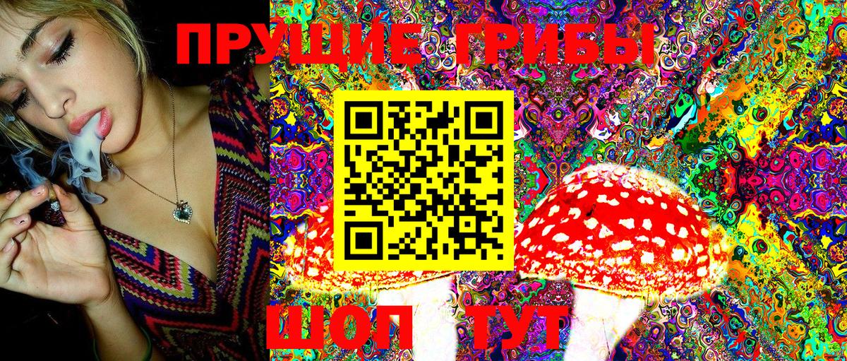 Галлюциногенные грибы MAGIC MUSHROOMS  Псилоцибиновые грибы GOLDEN TEACHER  Малгобек  Вход с VPN 